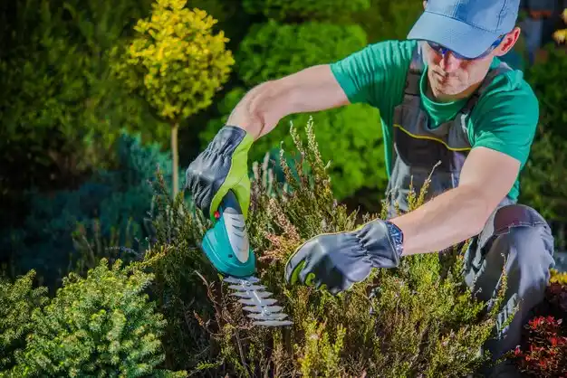 landscaping services Center Point